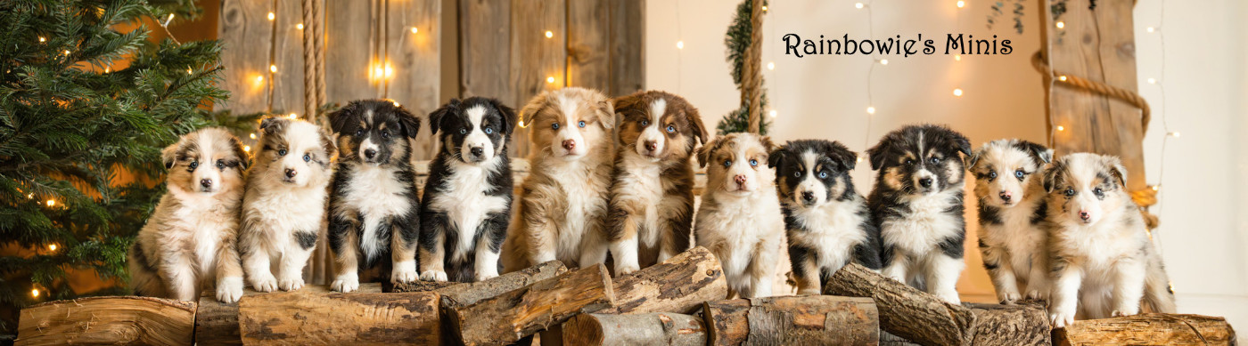 2026 va démarrer avec 2 SUPERBES portées